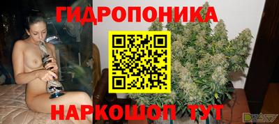мдпв Бийск
