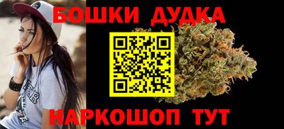 мдпв Бийск