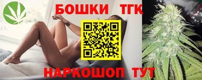 мдпв Бийск