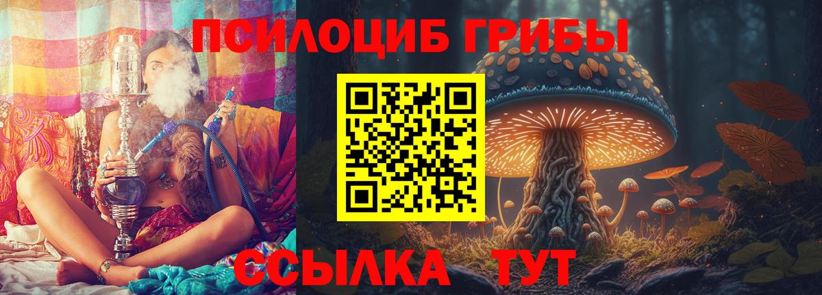 Псилоцибиновые грибы мухоморы Кемерово